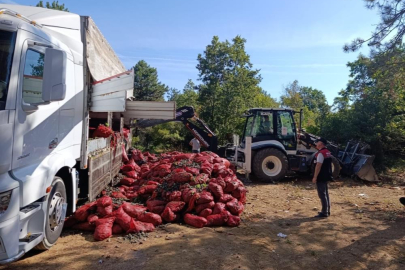 Bursa'da 8 ton midye ele geçirildi