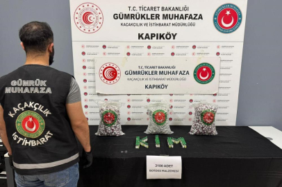 Gümrüklerde kaçakçılığa geçit yok
