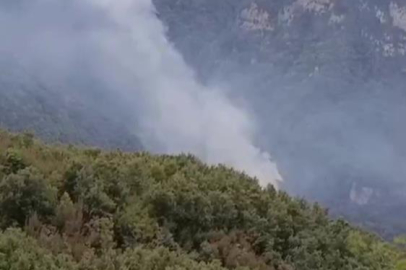 Hatay'daki orman yangınına müdahale başladı