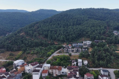 Bursa'da muhtardan mahalle sakinlerine 'Ayı' uyarısı