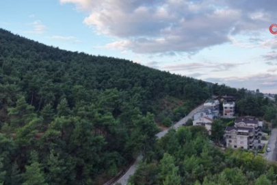 Bursa'da muhtardan mahalle sakinlerine 'Ayı' uyarısı