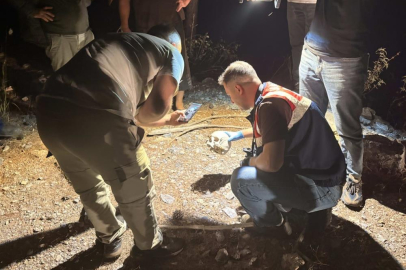 Ormanlık alanda kafatası bulundu