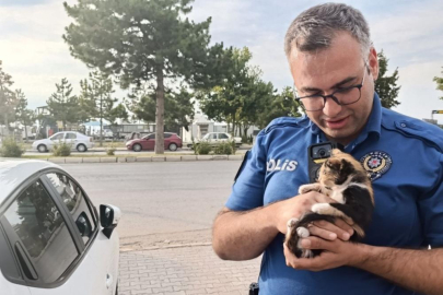 Polis bu kez yavru kedi için seferber oldu