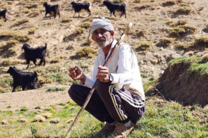 Bursa'dan köyüne döndü, hayvancılıkla geçimini sağlıyor