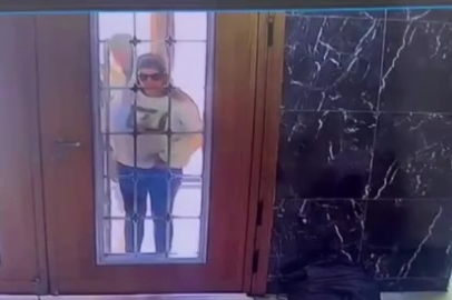 Hırçın kedi hırsızlara geçit vermedi