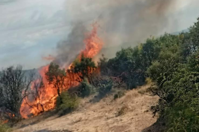 Makilik alanda çıkan yangın kontrol altına alındı