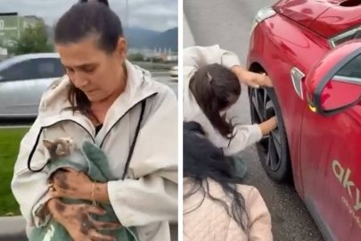 Bursa'da yola atlayan kedi aracın tekerine sığındı