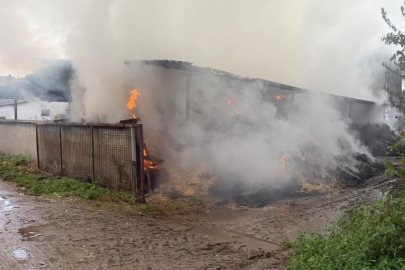 Mustafakemalpaşa’da çiftlik yangını: Son anda kurtarıldı