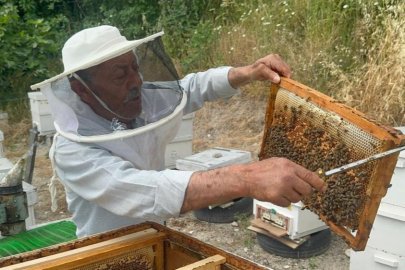 Bursalı 50 yıllık arıcıdan Avrupa’ya bal ihracatı