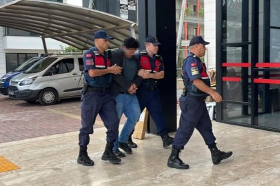 Kuşlara vahşet uygulayan şüpheli tutuklandı