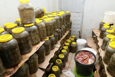 Osmangazi’de sağlığı tehdit eden gıdalara geçit yok