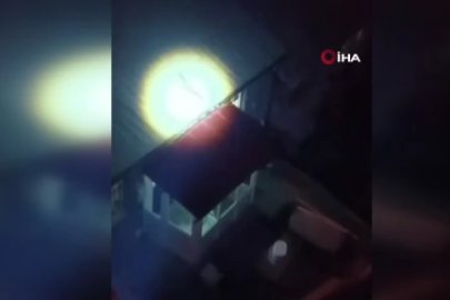 Bursa'da yolunu şaşıran tilki evin çatısına çıktı
