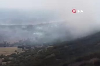 Ormanlık alanda çıkan yangın kontrol altına alındı