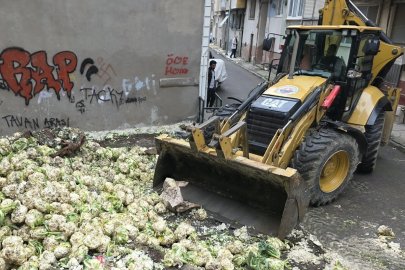 Gemlik’te tonlarca karnabahar imha edildi