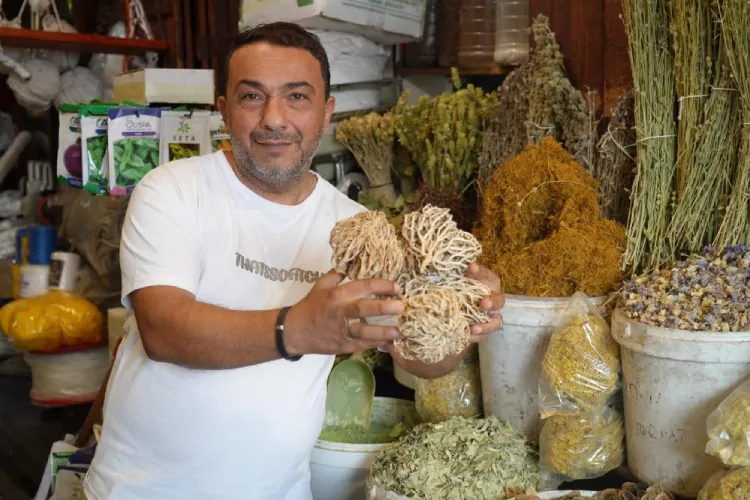 Kış ayları geldi, aktarlara akın başları