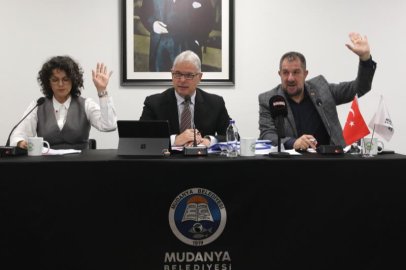 Mudanya'da TOKİ için Ülkü köyü merası gündemde