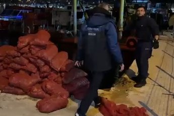 Gemlik’te kaçak midye avına geçit yok: 174 bin TL ceza