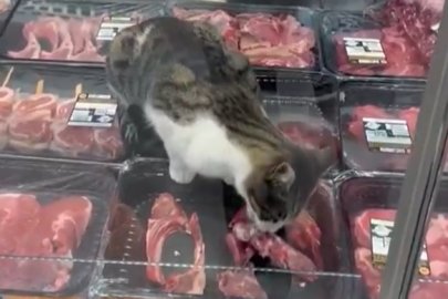 Bursa'da zincir markette hijyen skandalı!