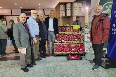 ESDER’den Bursa tarımı için çağrı: Çiftçi üretmek istiyor!