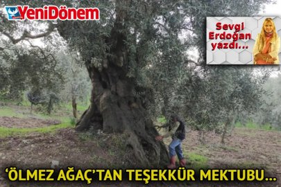 ‘Ölmez Ağaç’tan teşekkür mektubu…