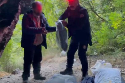 Uludağ'da mağaraya sığındı, şehre dönmek istemedi