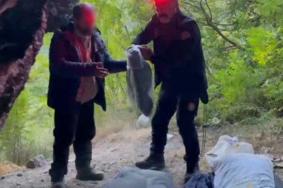 Uludağ'da mağaraya sığındı, şehre dönmek istemedi