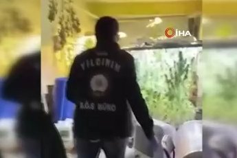 Bursa'da kenevir serasına dönen kasap dükkanına baskın