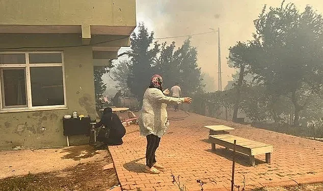 Beykoz'da orman yangını!