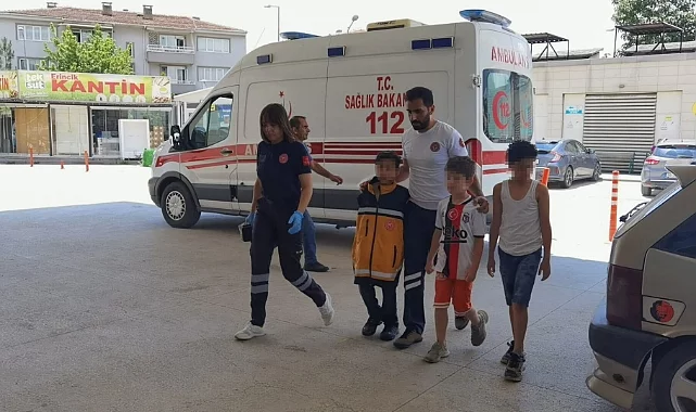 Bursa'da çocukların kireçle oyunu hastanede bitti