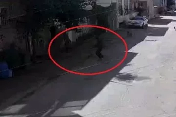 Bursa'da köpekler 3 çocuğa saldırdı