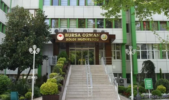 Bursa Orman Bölge Müdürlüğü’nden ihale duyurusu 