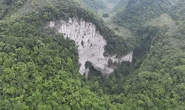 Çin’de Antik Orman bulundu