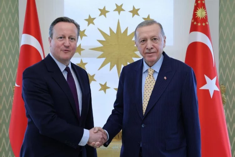 Cumhurbaşkanı Erdoğan, Bakan Cameron'u kabul etti