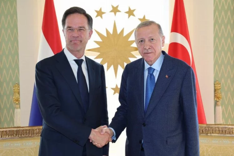 Cumhurbaşkanı Erdoğan, Başbakan Rutte’yi kabul etti