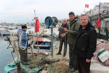 "Gemlik Körfezi büyük balıkçılara yasaklansın" talebi