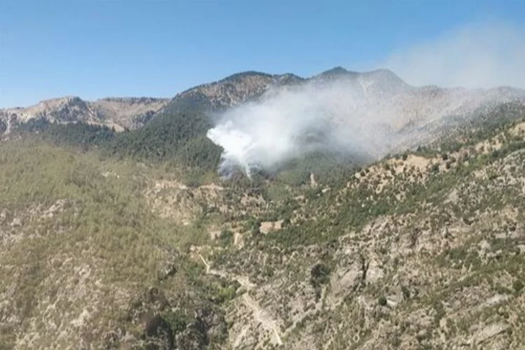 Kahramanmaraş'ta iki orman yangını peş peşe çıktı