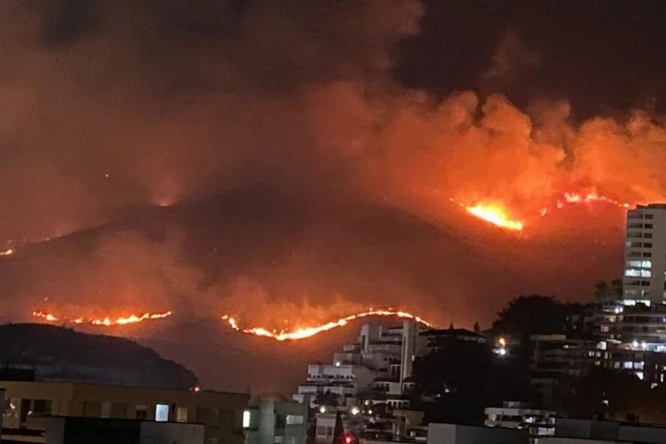 Kolombiya’da orman yangını