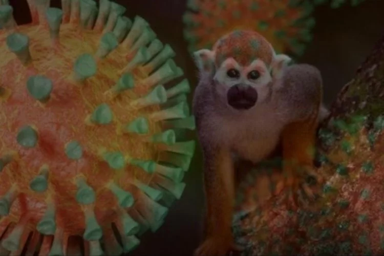 Sahibinden köpeğine maymun çiçeği virüsü bulaştı