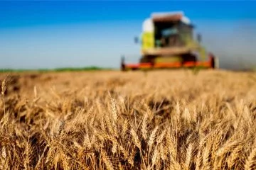 Tarım-GFE yıllık yüzde 49,93 arttı