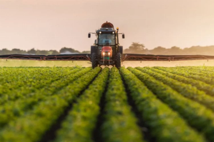 Tarım ÜFE'de yıllık yüzde 50,47 artış
