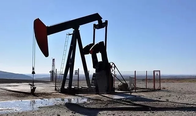 TPAO Diyarbakır'da petrol işletme ruhsatı devraldı