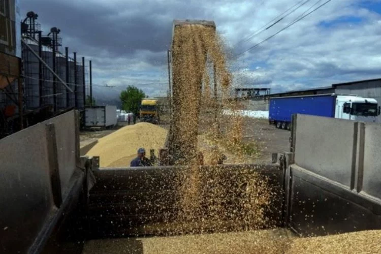 Ukrayna'dan tahıl sevkiyatı sürüyor